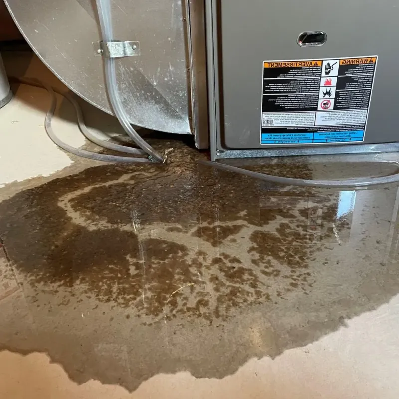 Pipe Burst and Leak Restoration in Saratoga Springs, NY
